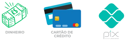 Ícones das formas de pagamento aceitas pela Mini Entulho Manaus